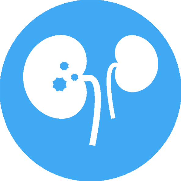 肾病学